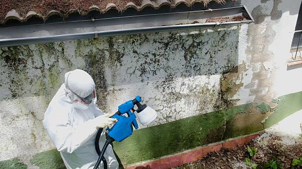 Trusted Bathroom Mold Removal service in North Bergen, NJ - Cheap Mold Removal